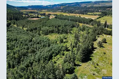 Tl 2702 &amp; 2703 S Cedar Mill Rd, Lyons, OR 97358 - Photo 3