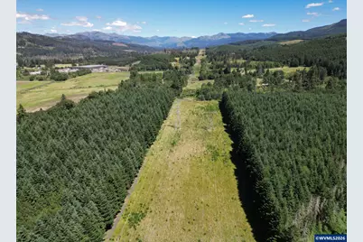 Tl 2702 &amp; 2703 S Cedar Mill Rd, Lyons, OR 97358 - Photo 9