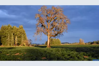 39800 Mertz Dr SE, Stayton, OR 97383 - Photo 39