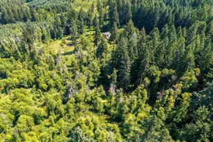 17016 Bratten Hill, Alsea, OR 97324 - Photo 21