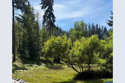 17016 Bratten Hill, Alsea, OR 97324 - Photo 7