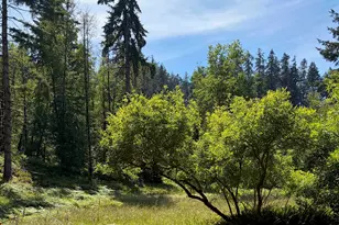 17016 Bratten Hill, Alsea, OR 97324 - Photo 7