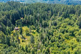 17016 Bratten Hill, Alsea, OR 97324 - Photo 23
