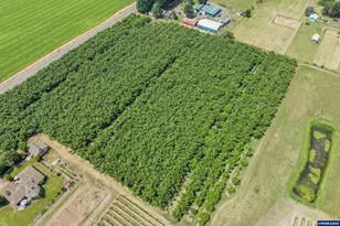 30248 S Barlow Rd, Hubbard, OR 97032 - Photo 27