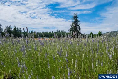 37625 Sunset Ln, Brownsville, OR 97327 - Photo 39