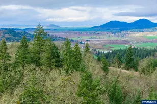 24869 Gap Rd, Brownsville, OR 97327 - Photo 47