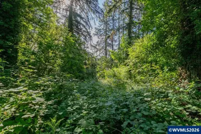 Ta418642 Spencer Mountain Dr NW, Albany, OR 97321 - Photo 7