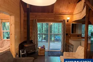 66B Stahlman Fs 049 Rd, Detroit, OR 97342 - Photo 27