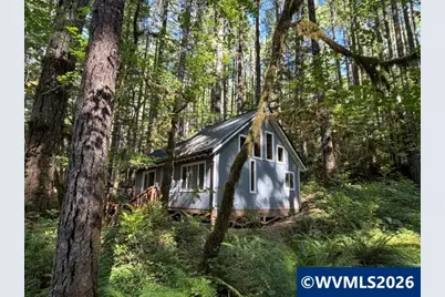 66B Stahlman Fs 049 Rd, Detroit, OR 97342 - Photo 27
