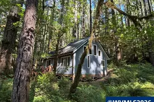 66B Stahlman Fs 049 Rd, Detroit, OR 97342 - Photo 27