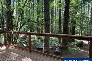 66B Stahlman Fs 049 Rd, Detroit, OR 97342 - Photo 25