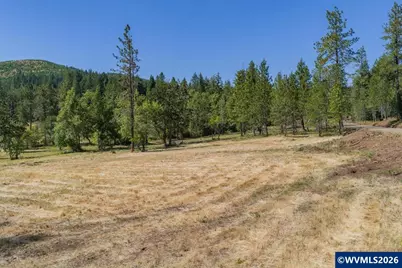 38835 Crawfordsville Dr (Next To) Dr, Sweet Home, OR 97386 - Photo 19