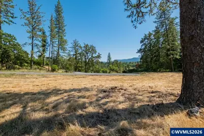 38835 Crawfordsville Dr (Next To) Dr, Sweet Home, OR 97386 - Photo 13