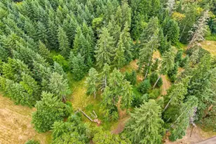 1381 NW Highland Dell Dr, Corvallis, OR 97330 - Photo 31