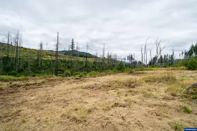 35220 North Santiam Hwy SE, Gates, OR 97346 - Photo 9