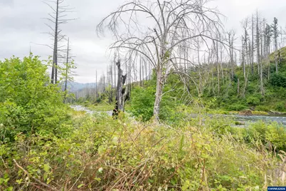 35220 North Santiam Hwy SE, Gates, OR 97346 - Photo 13