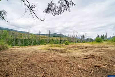 35220 North Santiam Hwy SE, Gates, OR 97346 - Photo 5