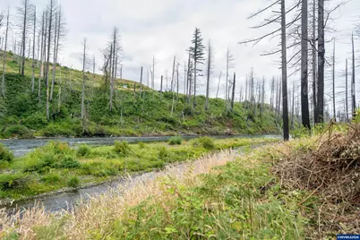 35220 North Santiam Hwy SE, Gates, OR 97346 - Photo 11