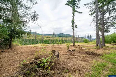 35220 North Santiam Hwy SE, Gates, OR 97346 - Photo 3