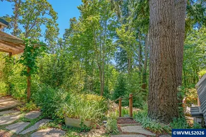 252 S Rock St, Silverton, OR 97381 - Photo 39