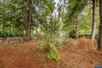 38695 SW Beech (Next To) St Av, Scio, OR 97374 - Photo 41