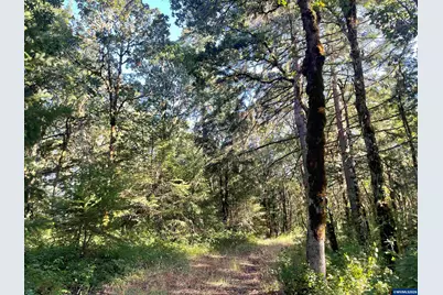 27181 S Frys Ln, Sheridan, OR 97378 - Photo 17