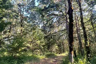 27181 S Frys Ln, Sheridan, OR 97378 - Photo 17