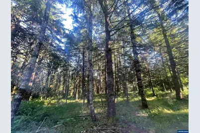 27181 S Frys Ln, Sheridan, OR 97378 - Photo 9