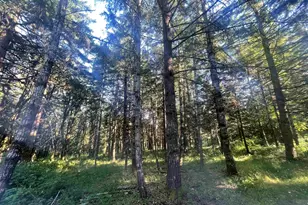 27181 S Frys Ln, Sheridan, OR 97378 - Photo 9