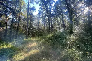 27181 S Frys Ln, Sheridan, OR 97378 - Photo 15
