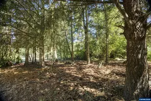 4545 Hazelgreen Rd, Salem, OR 97305 - Photo 31