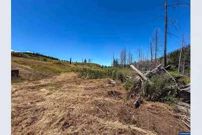 51789 Gates Bridge E, Gates, OR 97346 - Photo 11