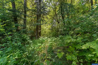 Lot 1500 &amp; 1600 Skillings Dr, Corvallis, OR 97330 - Photo 11