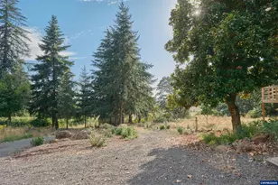 37672 Rodgers Dr, Scio, OR 97374 - Photo 43