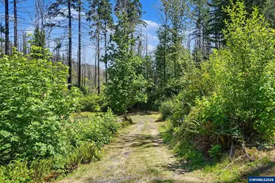 26457 and 26497 Taylor Park Rd S, Lyons, OR 97358 - Photo 21