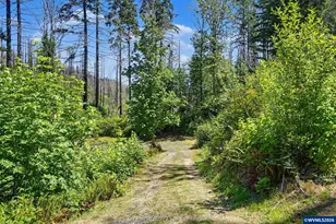 26457 and 26497 Taylor Park Rd S, Lyons, OR 97358 - Photo 21