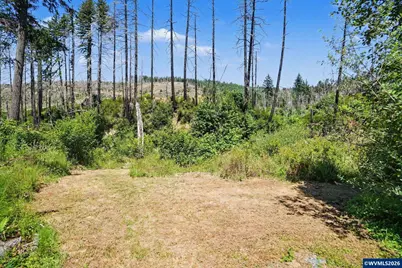 26457 and 26497 Taylor Park Rd S, Lyons, OR 97358 - Photo 23