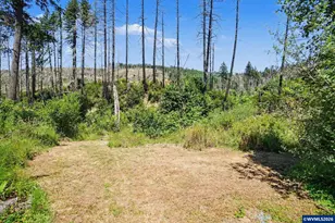 26457 and 26497 Taylor Park Rd S, Lyons, OR 97358 - Photo 23
