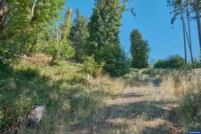 37672 Rodgers Dr Dr, Scio, OR 97374 - Photo 37