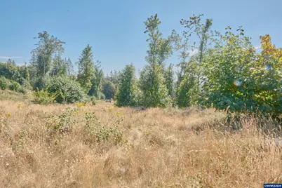 37672 Rodgers Dr Dr, Scio, OR 97374 - Photo 43