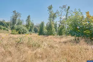 37672 Rodgers Dr Dr, Scio, OR 97374 - Photo 43