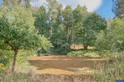 37672 Rodgers Dr Dr, Scio, OR 97374 - Photo 33