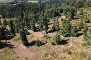 37672 Rodgers Dr Dr, Scio, OR 97374 - Photo 49