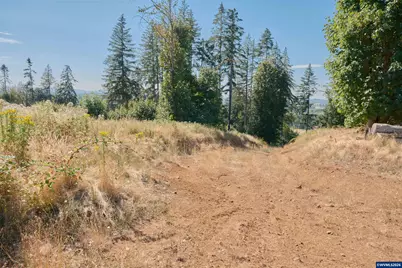37672 Rodgers Dr Dr, Scio, OR 97374 - Photo 41