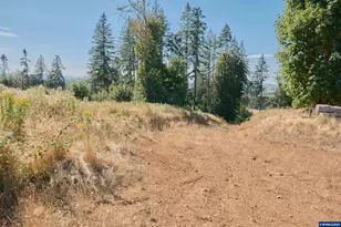 37672 Rodgers Dr Dr, Scio, OR 97374 - Photo 41