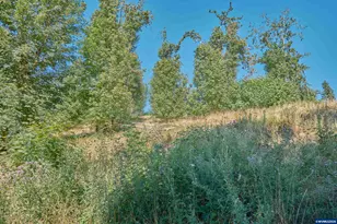 37672 Rodgers Dr Dr, Scio, OR 97374 - Photo 31