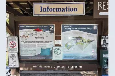 00 Fish Hatchery Dr, Scio, OR 97374 - Photo 5