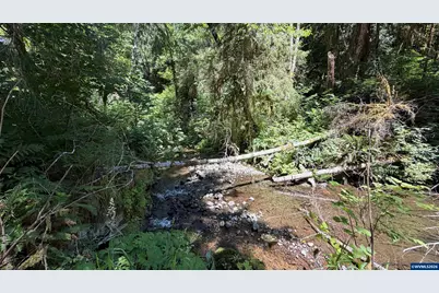 1799 N Doris Ln, Otis, OR 97368 - Photo 23