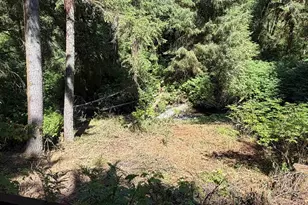 1799 N Doris Ln, Otis, OR 97368 - Photo 21