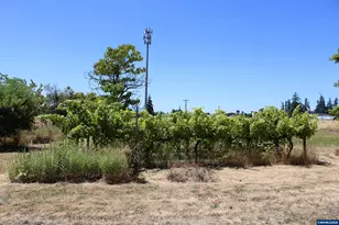 29844 Hwy 34 SW, Albany, OR 97321 - Photo 7